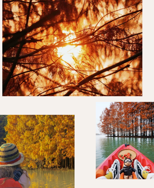 http://img.toumeiw.cn/upload/ajax/20221228/06dbd682e7aa1a66274ec3d9f0922165.png