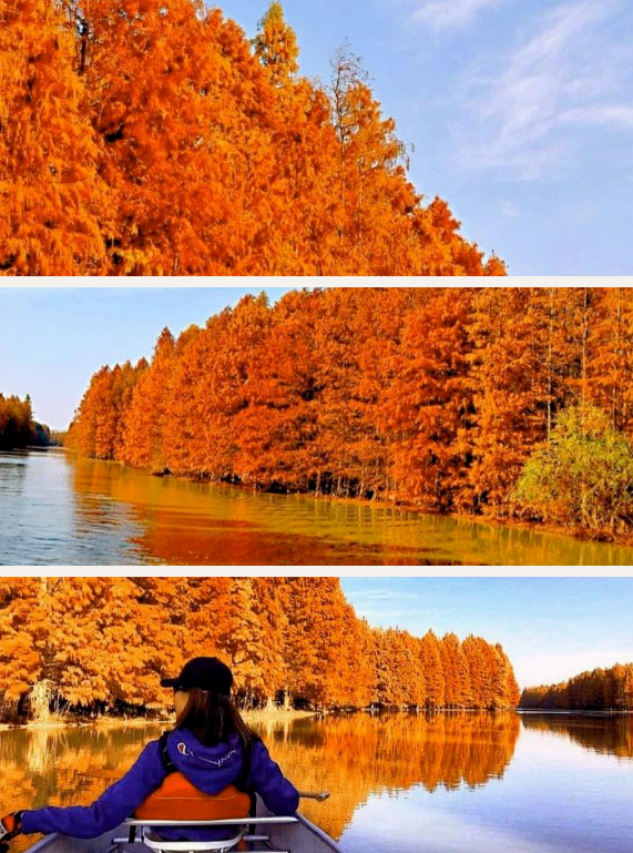 http://img.toumeiw.cn/upload/ajax/20221228/194477284a02e64b5035f40550c4d364.png