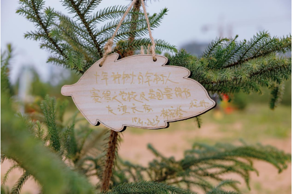 福州国际学校赛德文学校公益植树活动：种下一个梦给未来