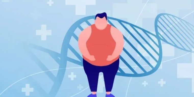 安富家实验室发现肥胖与基因的微妙关系