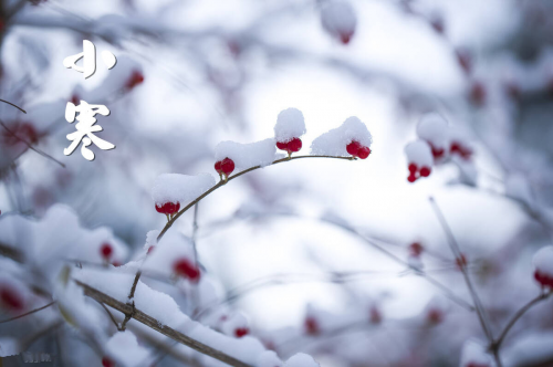 【节气养生】七家艾：小寒节气做好这5点！健康过新年！