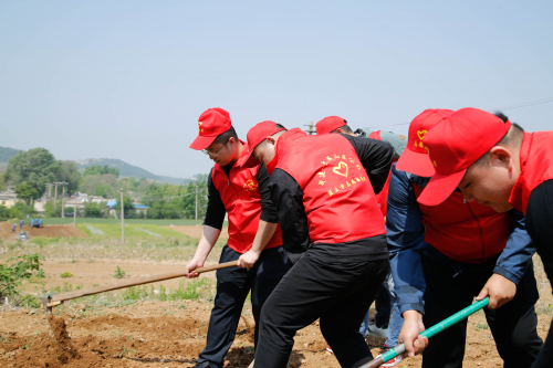 “歡慶五一·助力興農”志愿服務活動  中建-大成山東公司