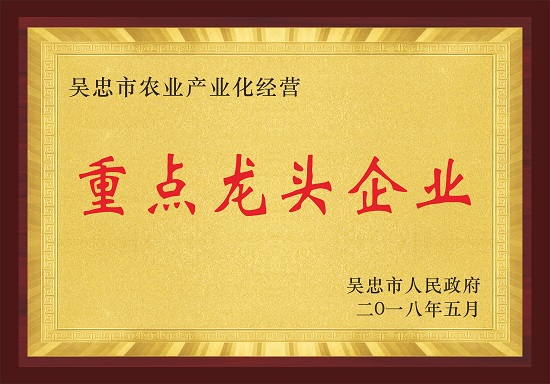 http://img.toumeiw.cn/upload/image/jpeg/20220120/27a2e73a1a5a98e852bea1fdec65c323.JPG