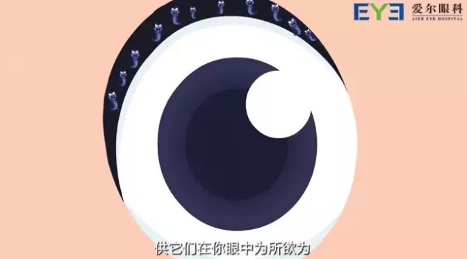 1566789464(1)