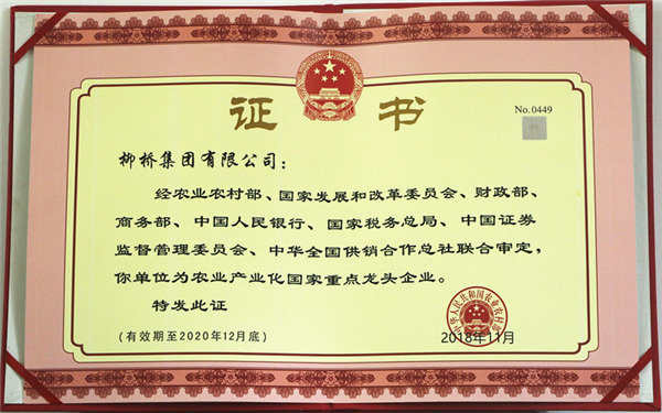 羽绒龙头企业柳桥集团