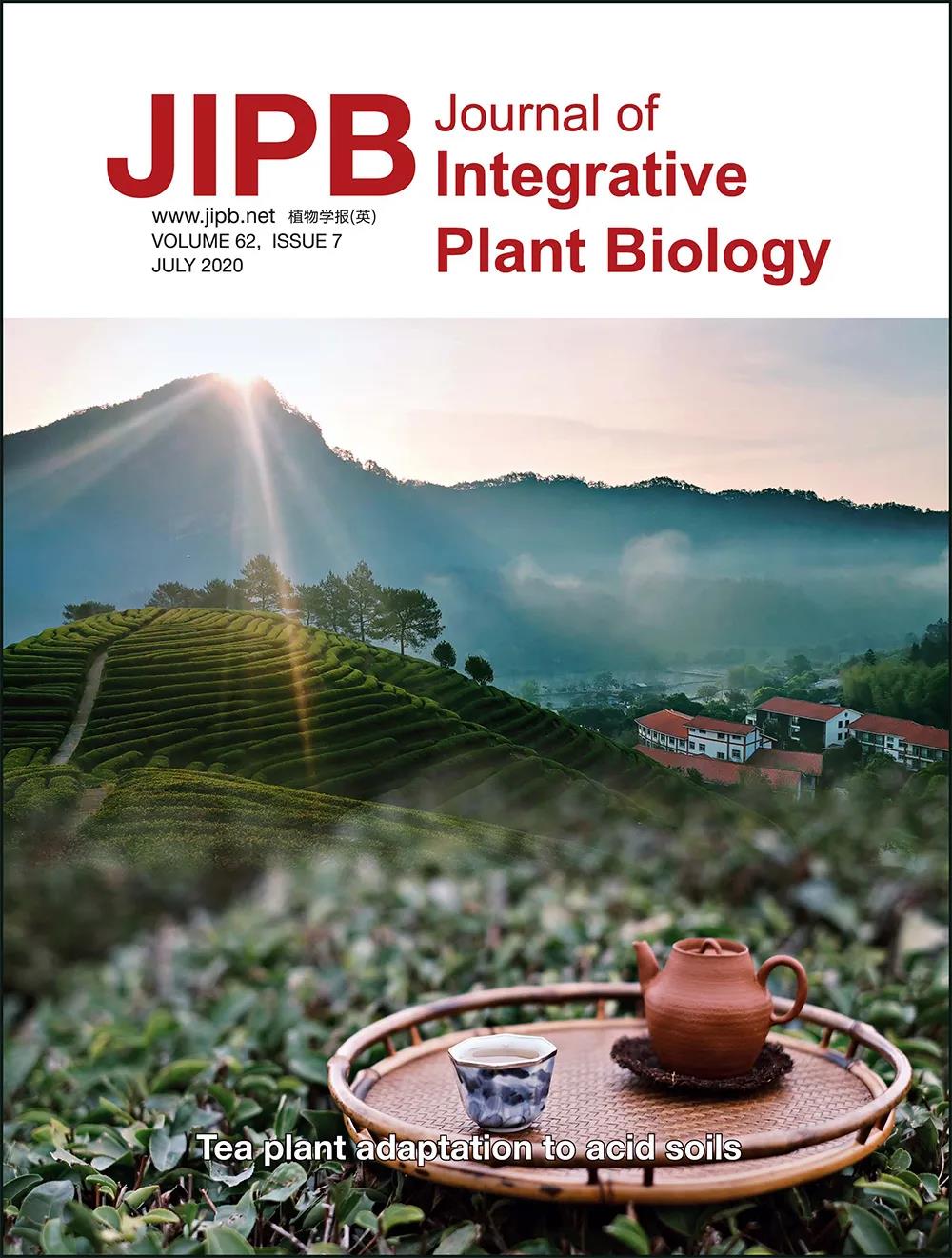 福莲茶庄园：登上国际一流植物、生物学研究期刊JIPB封面