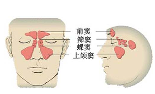 鼻炎总是反反复复？用清鼻堂有效果吗？