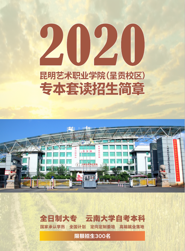 昆明艺术职业学院专本套读2020招生简章