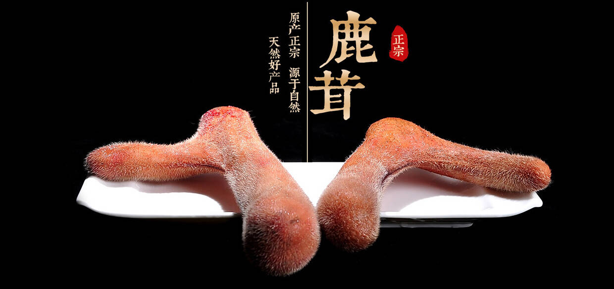 一鹿畅通：纠结梅花鹿产品买哪家？请看长春鹿乡娄乐家