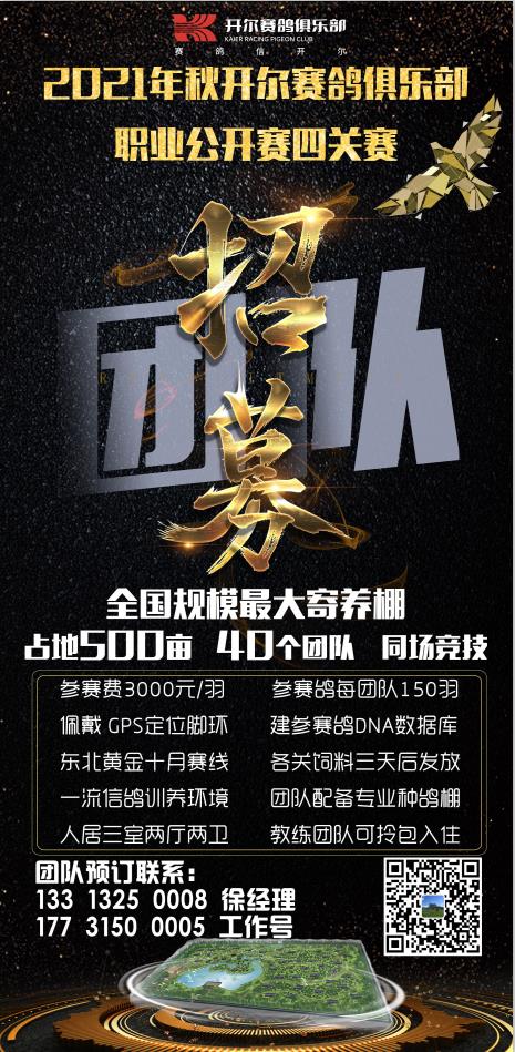大体量 低门槛 开尔为鸽友打造人人都能参赛的俱乐部