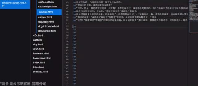 小码王少儿编程：学编程的孩子更强大，小学生用编程战胜高中生