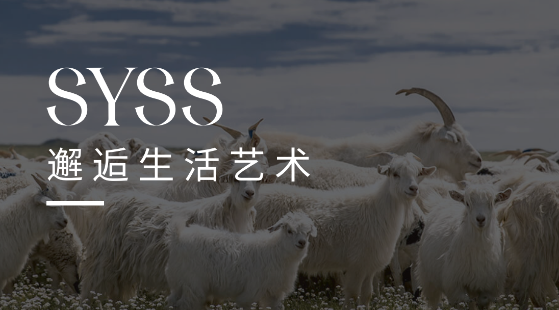 SYSS服饰：2020年SYSS为你重新定义潮流新方向