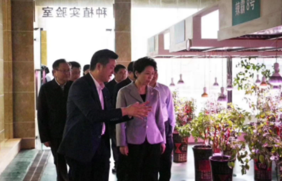 http://img.toumeiw.cn/upload/images/20210702/6a5a91b2a2c76213affd72ccbc96c777.png