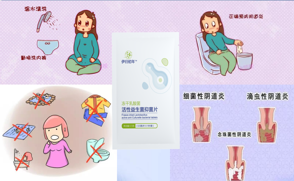 乳酸菌活性抑菌片对女性生殖道菌群的重要性