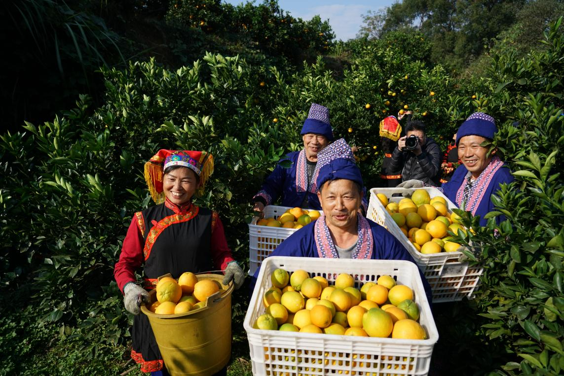 “百里脐橙连崀山”2021中国·崀山第七届 脐橙文化旅游节推介会在长沙盛大举行