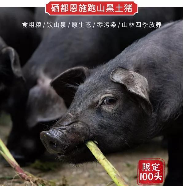 http://img.toumeiw.cn/upload/images/20211110/780ab812fb5ac78b79928c8557da94a3.jpg
