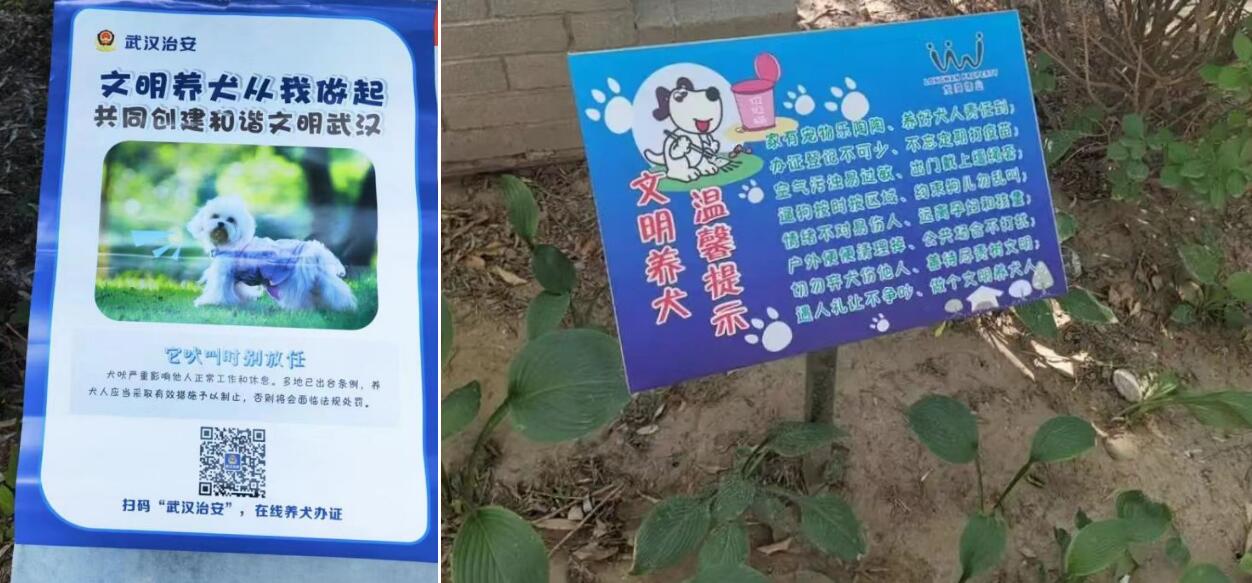 http://img.toumeiw.cn/upload/images/20230807/9954b5bf264b0bb4890be410a4124447.jpg