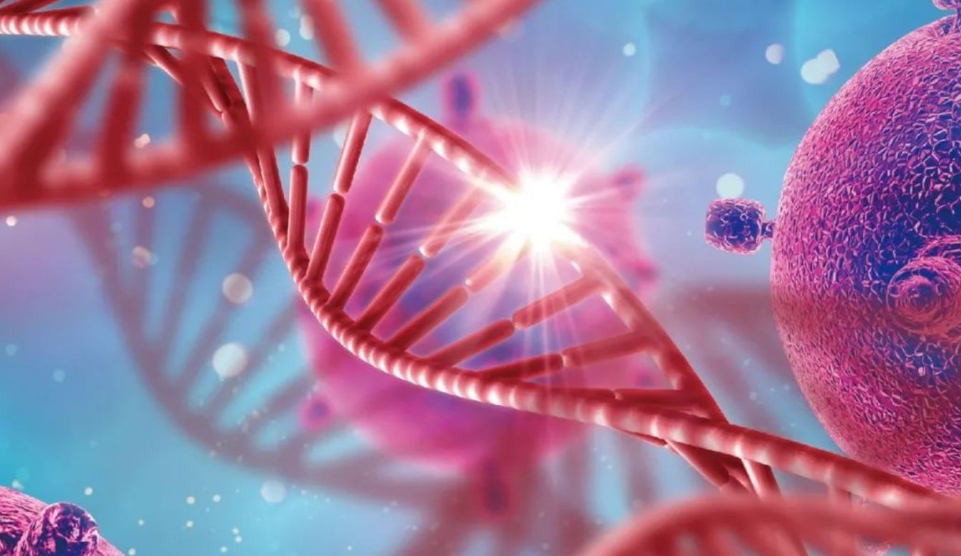 安富家实验室正式获得基因测序平台资格，引领基因医疗科技新风潮