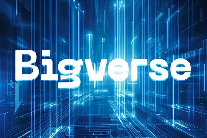 Bigverse“开杠吧”模式：数字藏品领域的新星，深受年轻人追捧