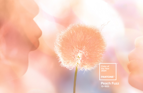 Pantone 2024代表色「Peach Fuzz柔和桃」应用灵感！低调感性色调，打造宁静舒缓的同理环境_https://www.izongheng.net_家居_第3张