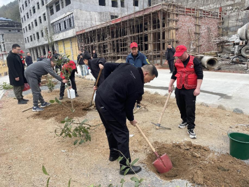 “携手爱绿护绿·共筑绿色家园”植树节志愿服务活动