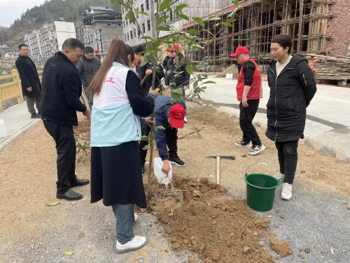 “携手爱绿护绿·共筑绿色家园”植树节志愿服务活动