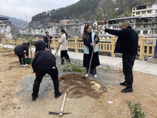 “携手爱绿护绿·共筑绿色家园”植树节志愿服务活动