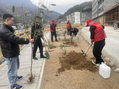 “携手爱绿护绿·共筑绿色家园”植树节志愿服务活动