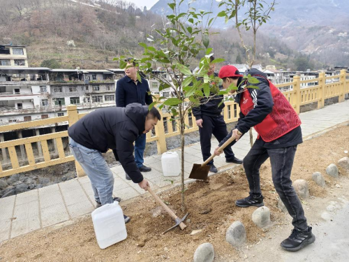 “携手爱绿护绿·共筑绿色家园”植树节志愿服务活动