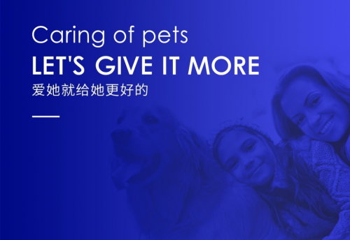 球盟会官方网站MAG宠物保健品牌亮相马来西亚宠物展(图7)